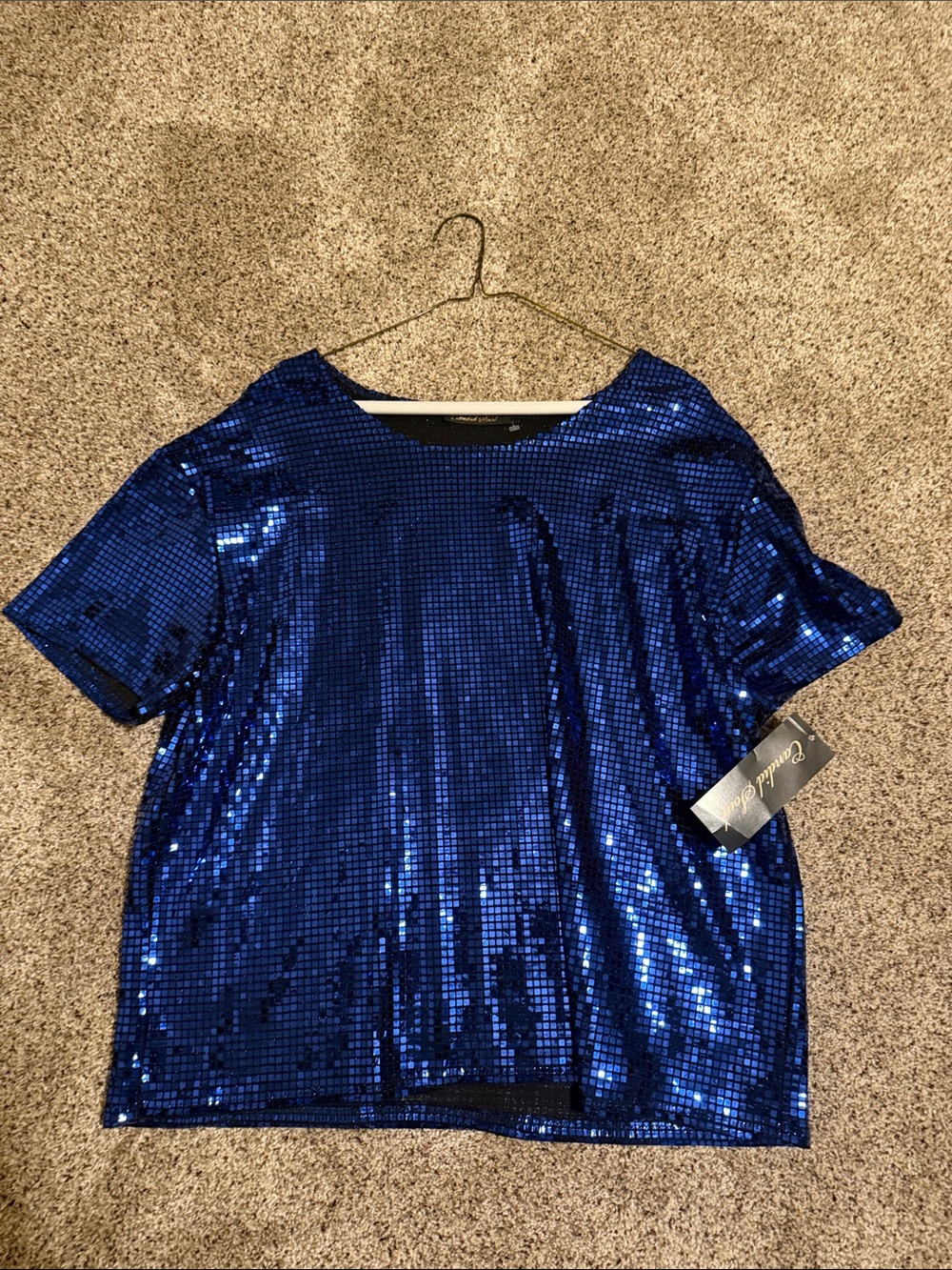 Women's Short Sleeve Sequin Top in Royal Blue